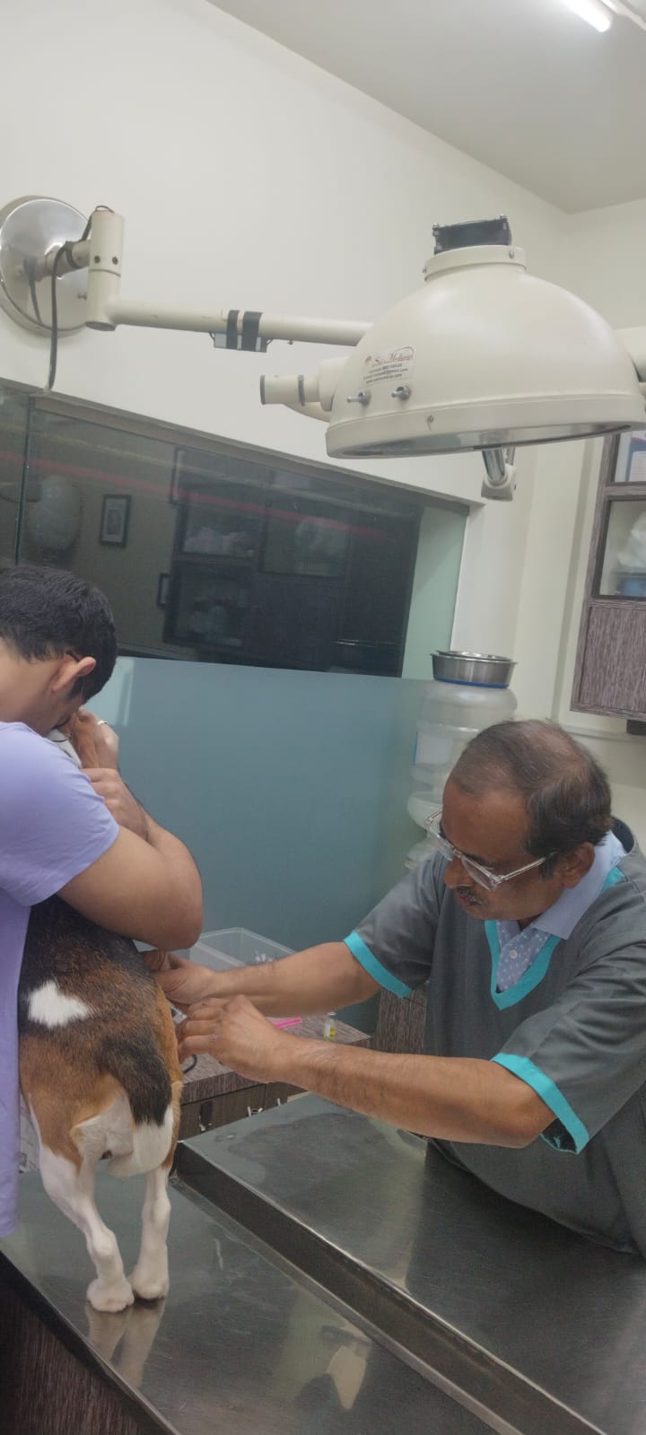 Dr. Avinash’s PET ANIMAL CLINIC