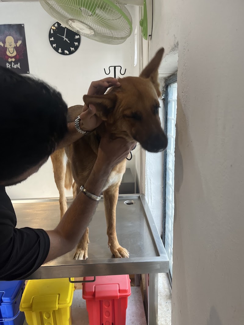 Pawfect Vet Clinic