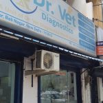 Dr. Vet Diagnostics