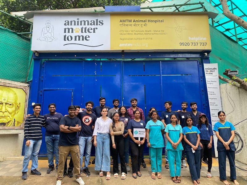 Animal Matter To Me (AMTM) – Animal Hospital