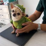 TruVet Pet Care Clinic