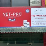 The PawPlush -Nishtha Pet Clinic