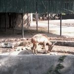 National Zoological Park Veterinary Hospital