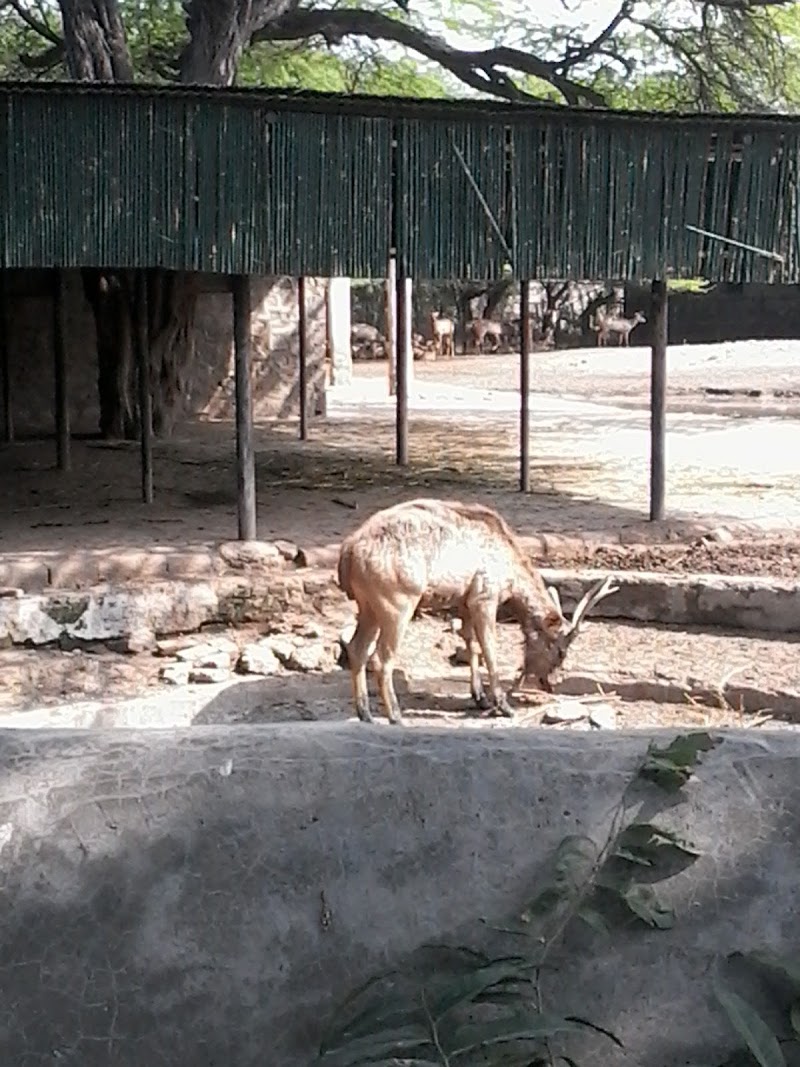 National Zoological Park Veterinary Hospital