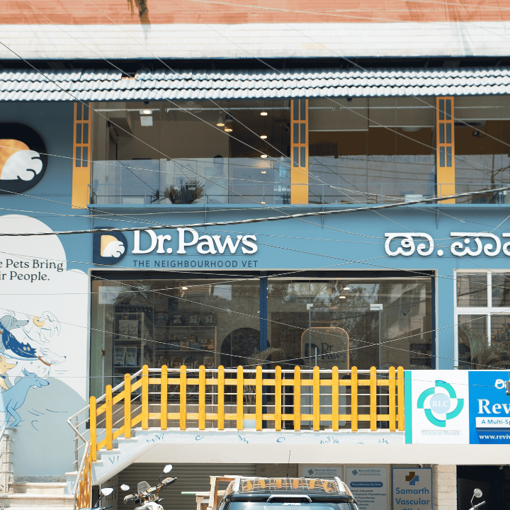Dr. Paws HSR Layout | 24×7 Veterinary Hospital