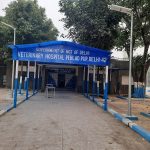 Govt Animal Hospital, Dispensary