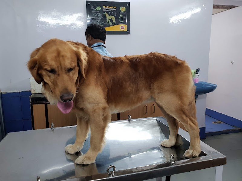 Westend Speciality Petcare and Nursing center