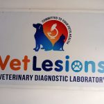 VetLesions Veterinary Diagnostic Laboratory