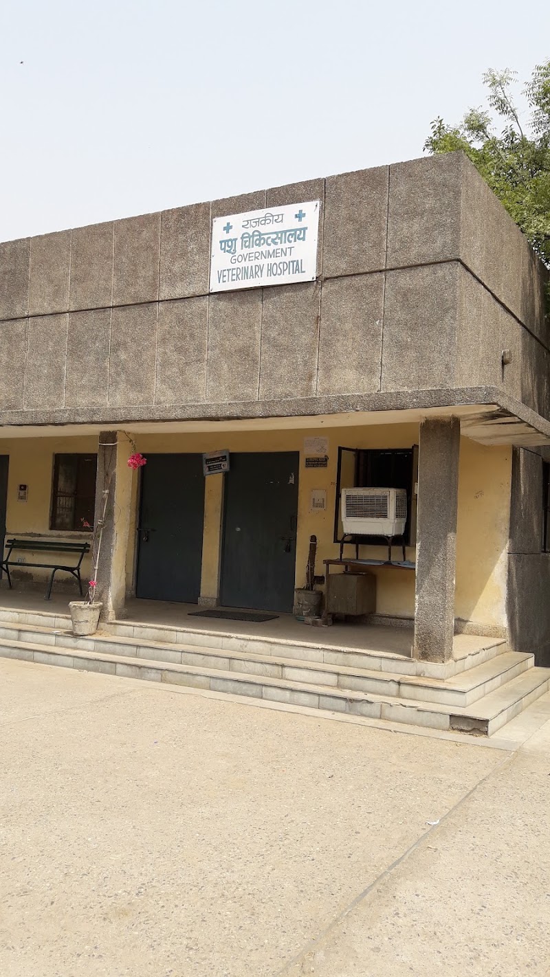 Government veterinary Hospital