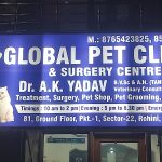 Global Pet Clinic And Surgery Centre