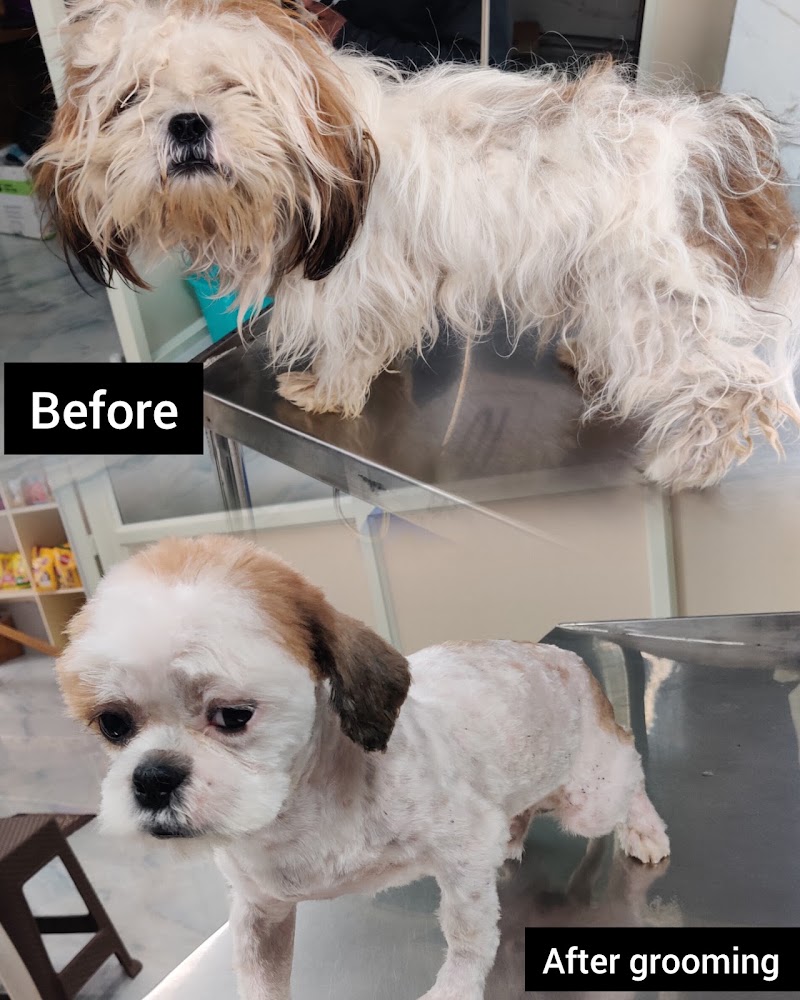 S M Pet Clinic