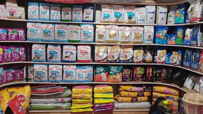 KST Petcare Center – 1