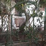 Sai Malhar Veterinary Clinic and Pet Lodging Boarding