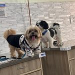PoochieS’ Pet Clinic