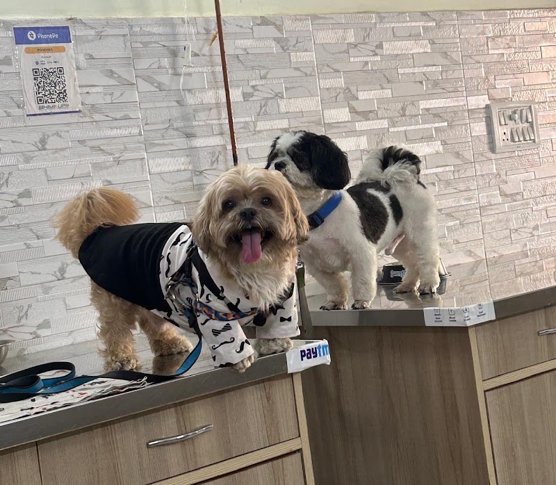 PoochieS’ Pet Clinic