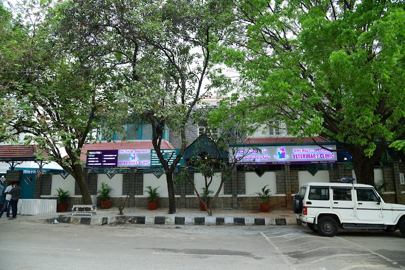 RMV MULTI-SPECIALITY VETERINARY CLINIC