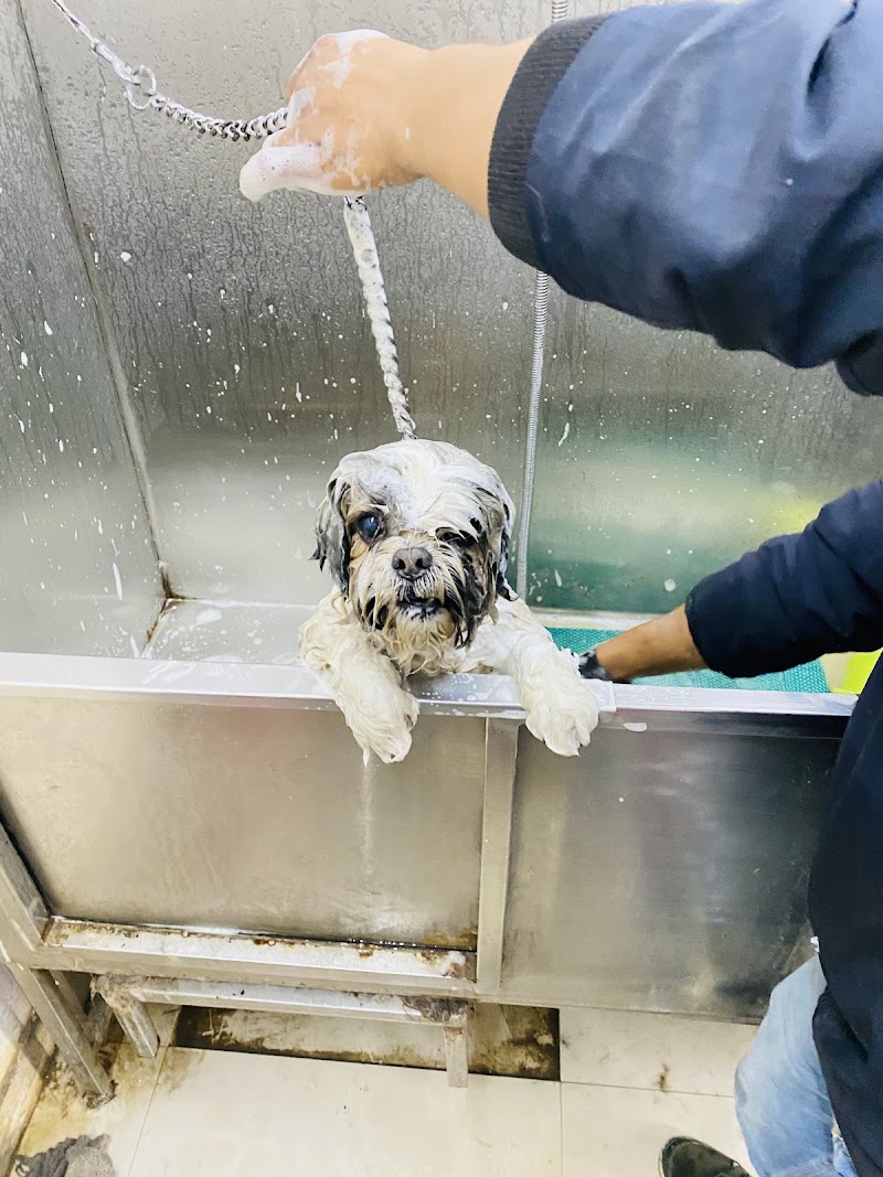 Vets & Pets Veterinary Clinic
