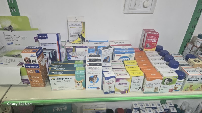 Deluxe Pet Clinic