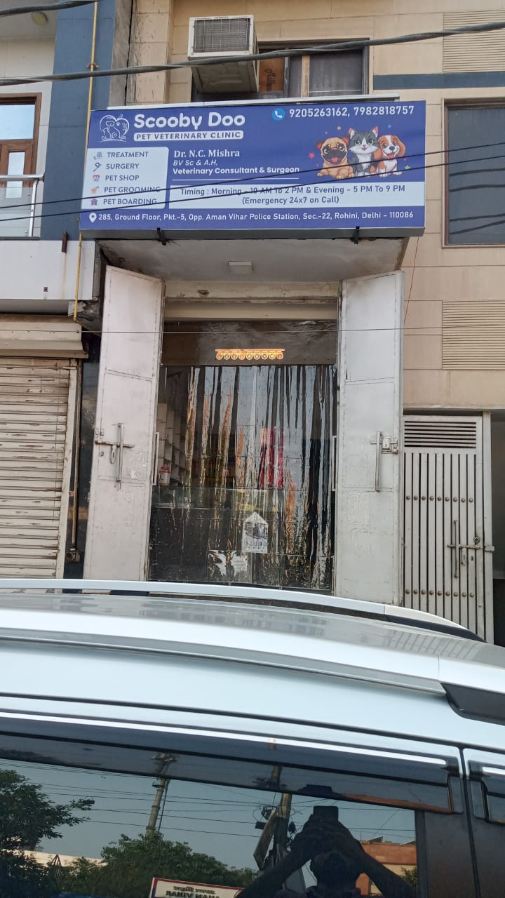 Scooby Doo Pet clinic