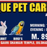 Unique Pet Care Clinic