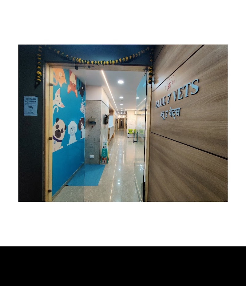BLUE 7 VETS (A Veterinary Multi speciality Clinic)