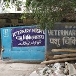 Veterinary Hospital