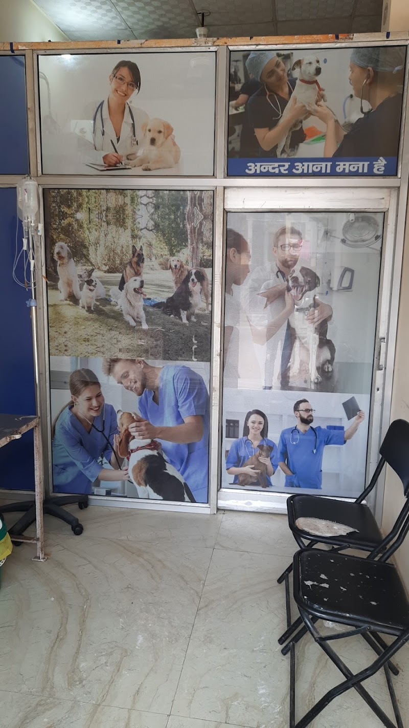 ROYAL PET CARE CENTRE