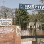 MCD Veterinary Clinic (animal hospital)
