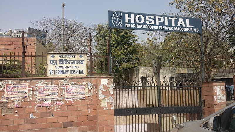 MCD Veterinary Clinic (animal hospital)