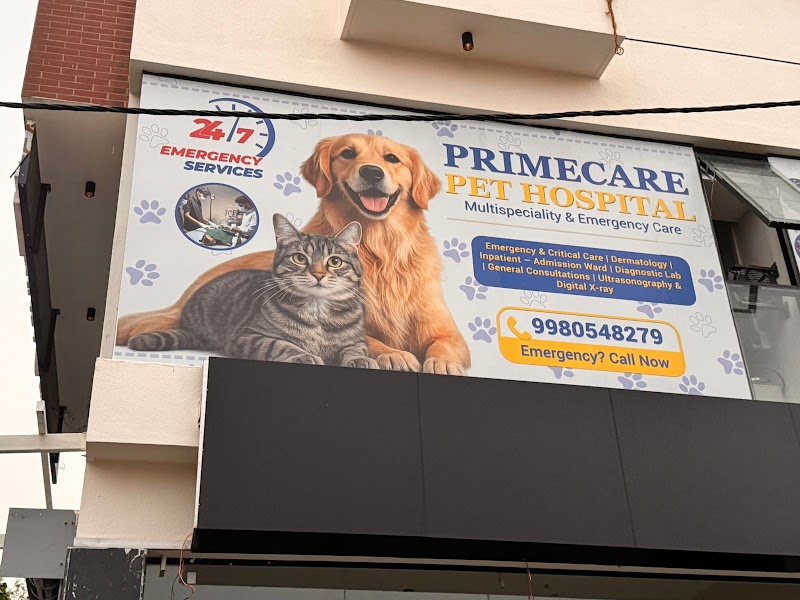 PRIMECARE PET HOSPITAL 24/7- Vet Home Visit in Bengaluru