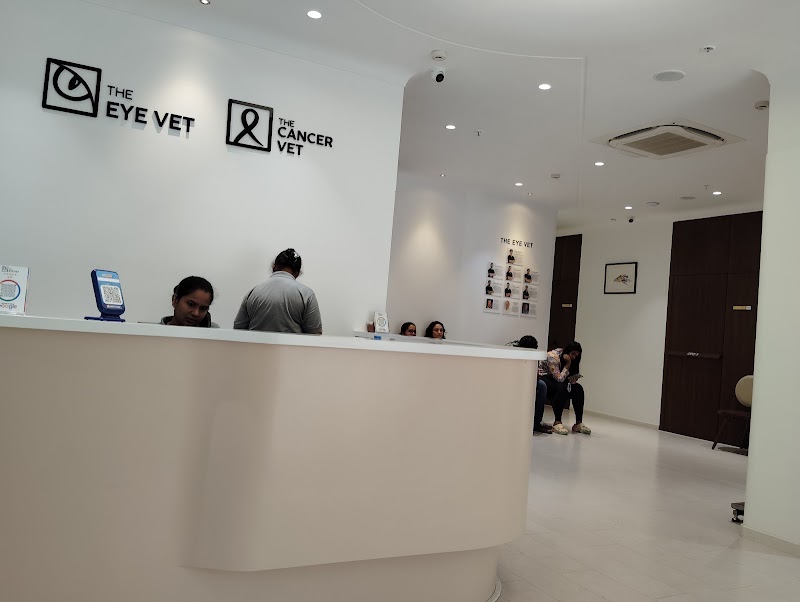 The Eye Vet