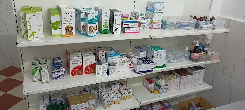 KPC | Veterinarian Home Visit : Vaccination, Treatment and Grooming Services
