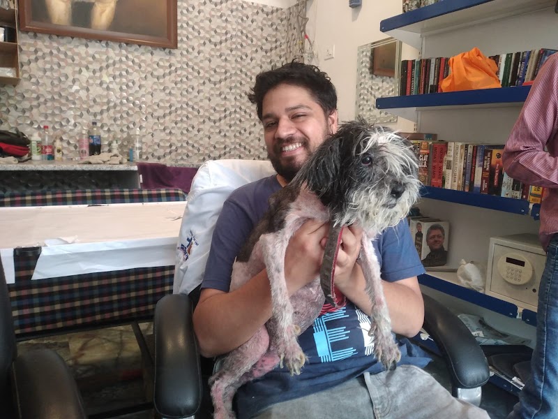 Dph’s Max Pet