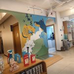 Dr. Paws Rajajinagar | Veterinary Clinic
