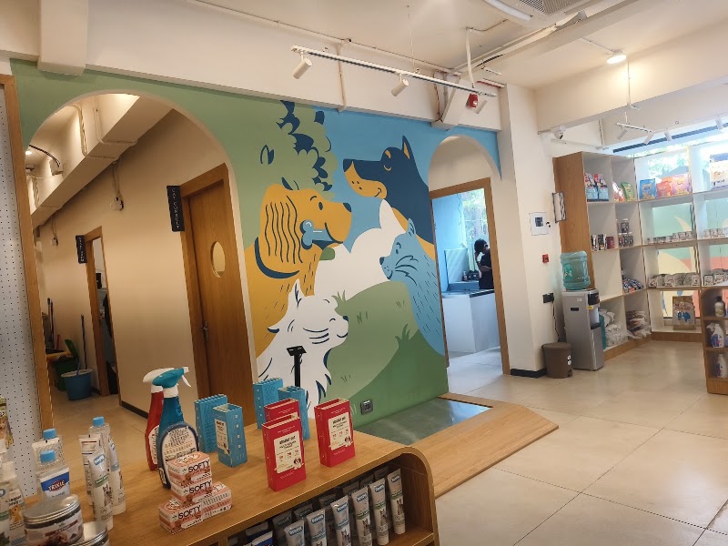 Dr. Paws Rajajinagar | Veterinary Clinic