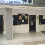 Veterinary Clinic
