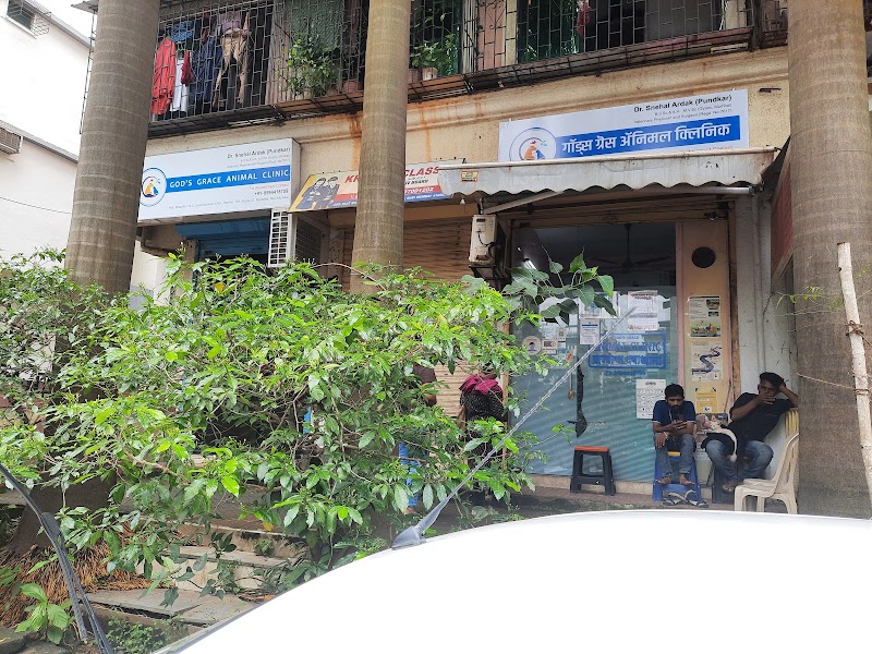 God’s Grace Pet Animal Clinic & Surgery Centre
