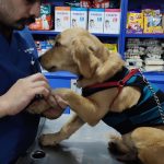 Swathi Veterinary Clinic