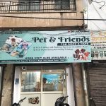 Pet & Friends