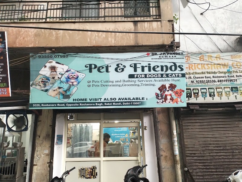 Pet & Friends