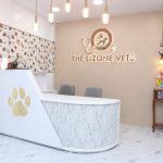 THE OZONE VETS