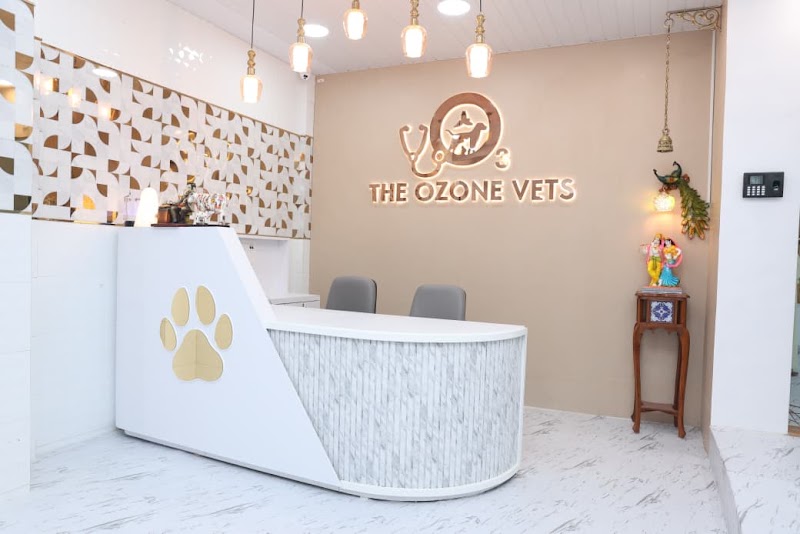 THE OZONE VETS