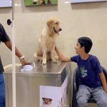 Vetri Veterinary Clinic & Surgical Centre
