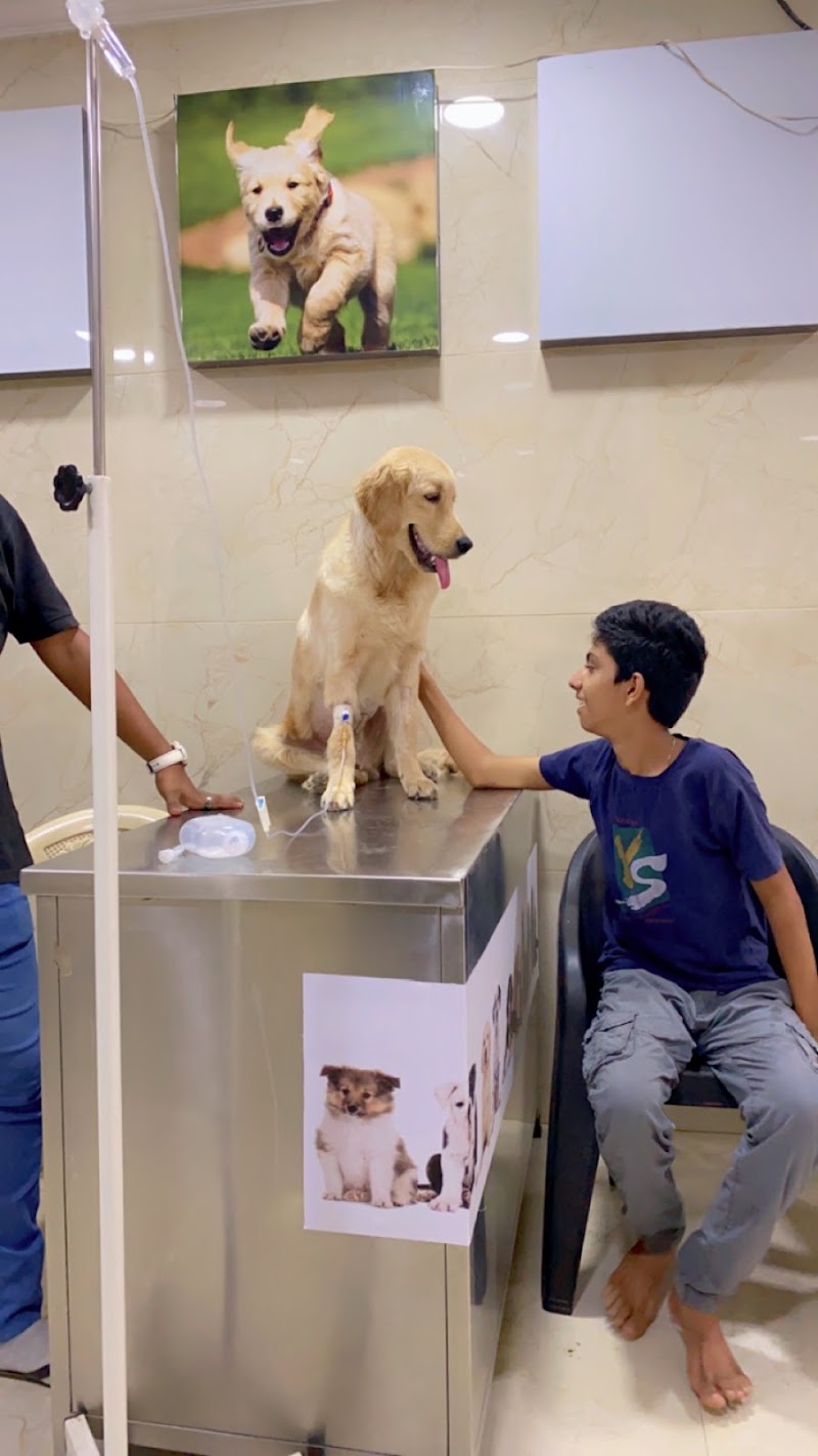 Vetri Veterinary Clinic & Surgical Centre