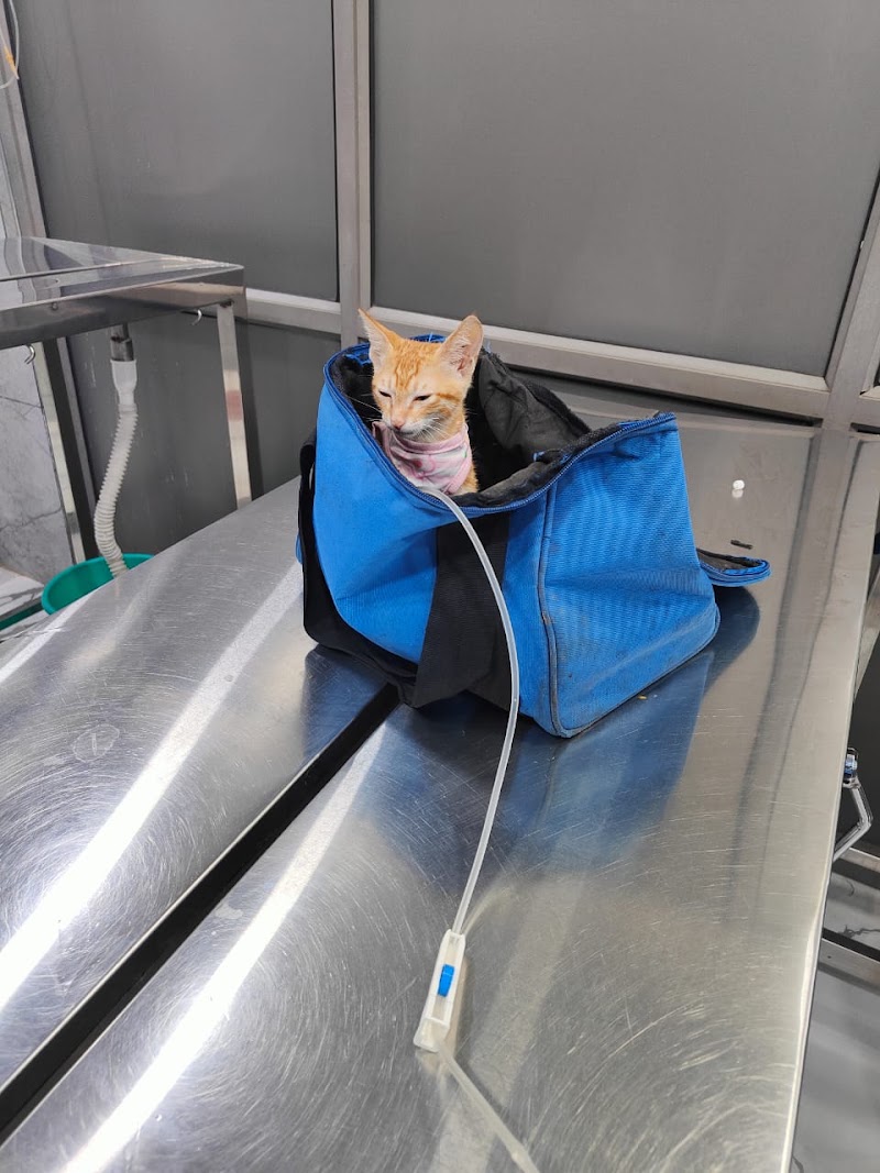 New Life Pet Care Center