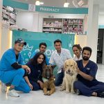 Crown Vet Koramangala