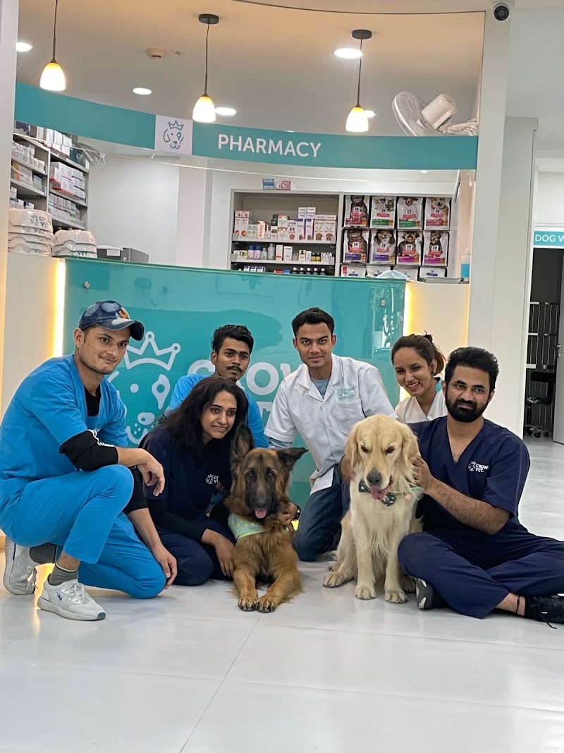 Crown Vet Koramangala