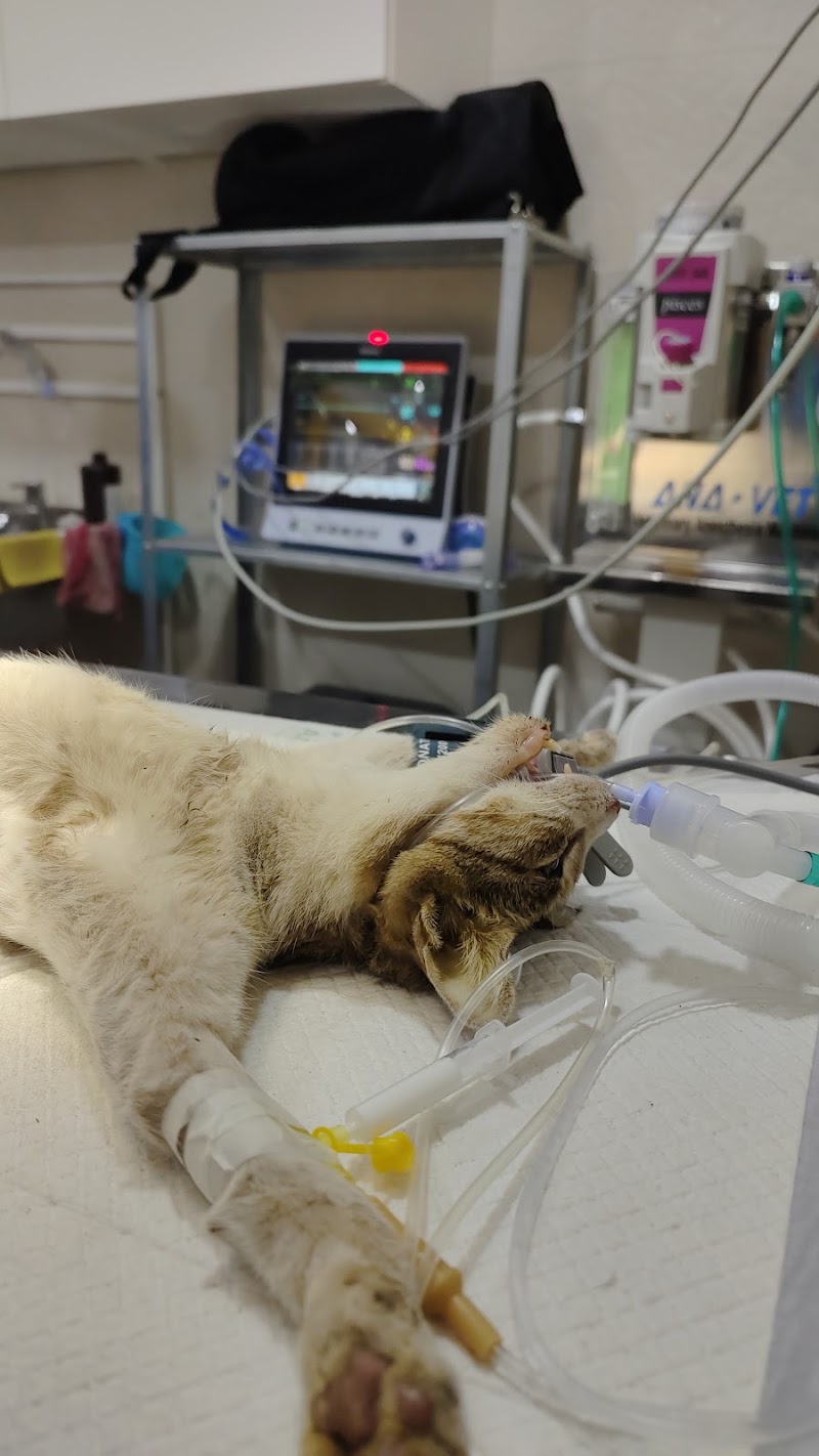 Bay Vets Veterinary Centre