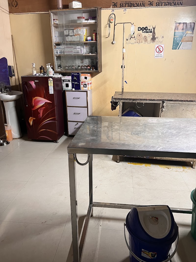 𝗔𝘀𝗶𝗮 𝗣𝗲𝘁 𝗖𝗹𝗶𝗻𝗶𝗰 | 𝗣𝗲𝘁 𝗚𝗿𝗼𝗼𝗺𝗶𝗻𝗴 | 𝗣𝗲𝘁 𝗖𝗹𝗶𝗻𝗶𝗰 & 𝗦𝘂𝗿𝗴𝗲𝗿𝘆 (𝗗𝗼𝗴, 𝗖𝗮𝘁, 𝗦𝗺𝗮𝗹𝗹 𝗣𝗲𝘁 𝗖𝗹𝗶𝗻𝗶𝗰) | 𝗘𝗺𝗲𝗿𝗴𝗲𝗻𝗰𝘆 𝗶𝗻 𝗗𝗲𝗹𝗵𝗶
