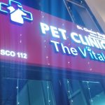 The Vitals pet clinic